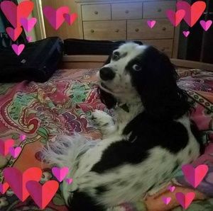 Meet your Posher, Becky